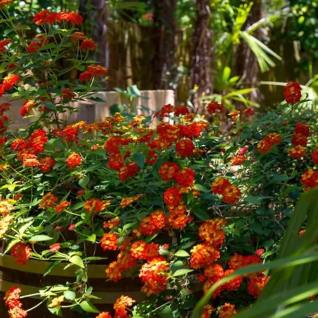 Апартаменты Rebecca