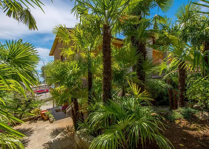 Rebecca * אופטיה